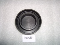 R00487